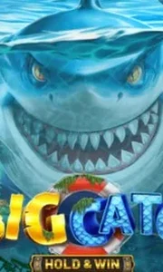 A Big Catch - Hold & Win